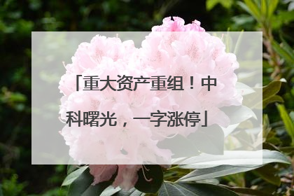 重大资产重组！中科曙光，一字涨停