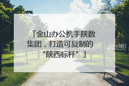 金山办公携手陕数集团，打造可复制的“陕西标杆”