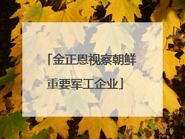 金正恩视察朝鲜重要军工企业