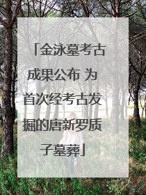 金泳墓考古成果公布 为首次经考古发掘的唐新罗质子墓葬