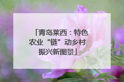 青岛莱西：特色农业“链”动乡村振兴新图景