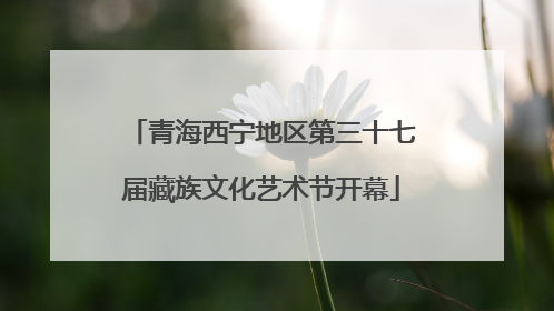 青海西宁地区第三十七届藏族文化艺术节开幕