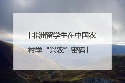 非洲留学生在中国农村学“兴农”密码