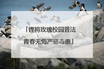 铿将玫瑰校园普法 青春无悔严惩毒患