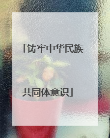 铸牢中华民族共同体意识