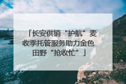 长安供销“护航”麦收季托管服务助力金色田野“抢收忙”