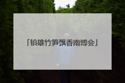 镇雄竹笋飘香南博会
