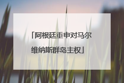 阿根廷重申对马尔维纳斯群岛主权
