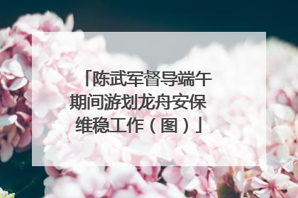 陈武军督导端午期间游划龙舟安保维稳工作（图）