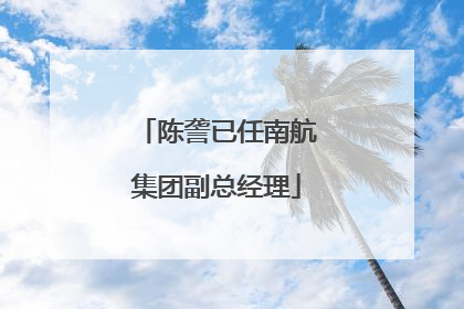陈詟已任南航集团副总经理
