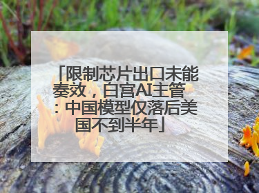 限制芯片出口未能奏效，白宫AI主管：中国模型仅落后美国不到半年