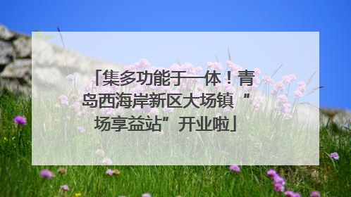 集多功能于一体！青岛西海岸新区大场镇“场享益站”开业啦