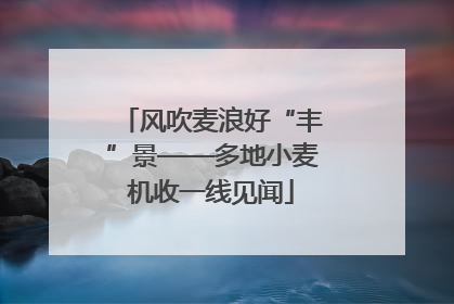 风吹麦浪好“丰”景——多地小麦机收一线见闻