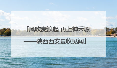 风吹麦浪起 再上神禾塬——陕西西安夏收见闻