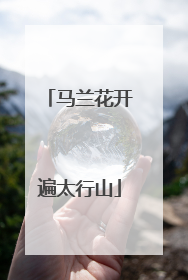 马兰花开遍太行山