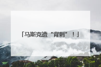 马斯克遭“背刺”！