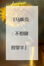 马斯克：不想做替罪羊