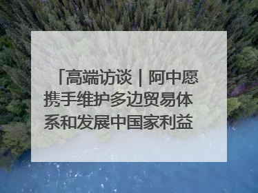 高端访谈｜阿中愿携手维护多边贸易体系和发展中国家利益——访阿拉伯议会议长亚马希