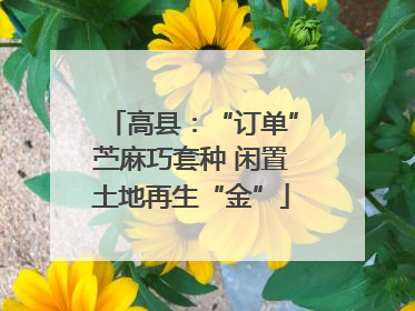 高县：“订单”苎麻巧套种 闲置土地再生“金”