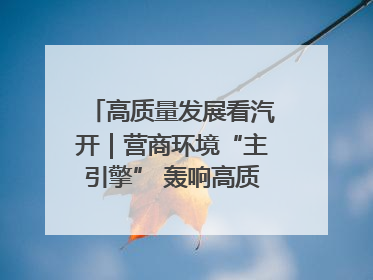 高质量发展看汽开｜营商环境“主引擎” 轰响高质量发展新赛道
