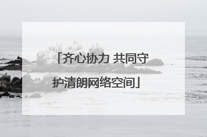 齐心协力 共同守护清朗网络空间