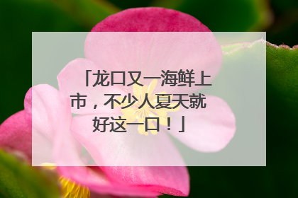 龙口又一海鲜上市，不少人夏天就好这一口！