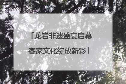 龙岩非遗盛宴启幕 客家文化绽放新彩