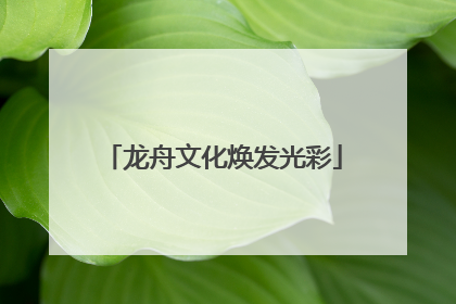 龙舟文化焕发光彩