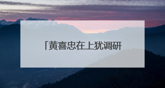 黄喜忠在上犹调研督导和下访接访