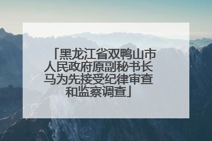 黑龙江省双鸭山市人民政府原副秘书长马为先接受纪律审查和监察调查