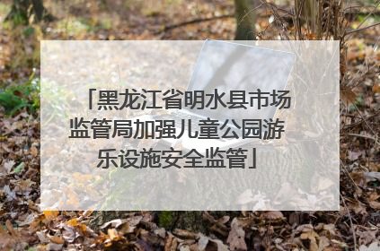 黑龙江省明水县市场监管局加强儿童公园游乐设施安全监管