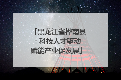 黑龙江省桦南县：科技人才驱动 赋能产业促发展