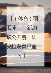 （体育）羽毛球——新加坡公开赛：陆光祖获男单亚军