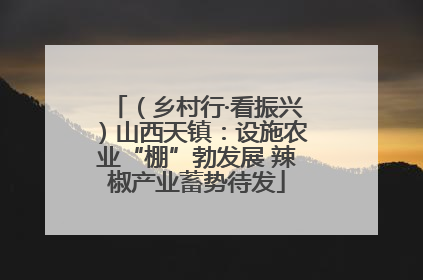 （乡村行·看振兴）山西天镇：设施农业“棚”勃发展 辣椒产业蓄势待发