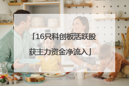 16只科创板活跃股获主力资金净流入