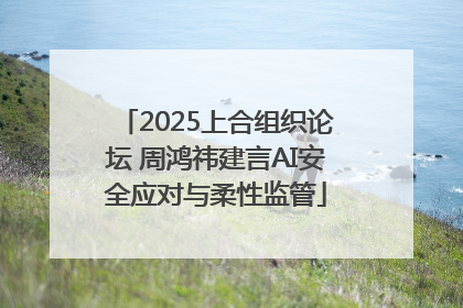 2025上合组织论坛 周鸿祎建言AI安全应对与柔性监管