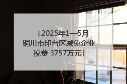 2025年1—5月铜川市印台区减免企业税费 3757万元