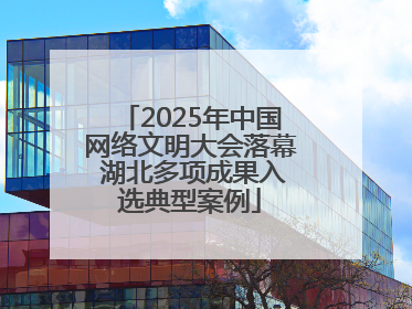 2025年中国网络文明大会落幕 湖北多项成果入选典型案例
