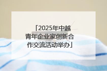 2025年中越青年企业家创新合作交流活动举办