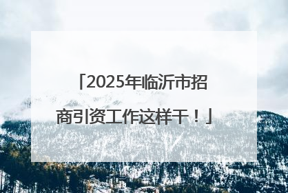 2025年临沂市招商引资工作这样干！