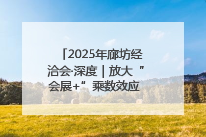 2025年廊坊经洽会·深度｜放大“会展+”乘数效应 打造消费新场景