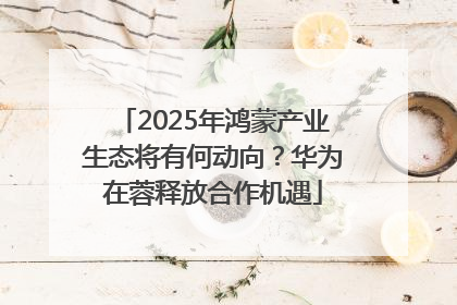 2025年鸿蒙产业生态将有何动向？华为在蓉释放合作机遇