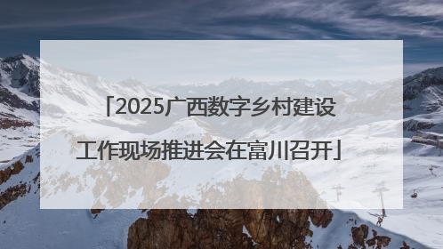 2025广西数字乡村建设工作现场推进会在富川召开
