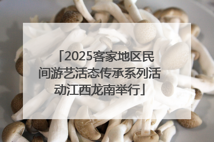 2025客家地区民间游艺活态传承系列活动江西龙南举行