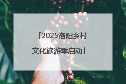 2025洛阳乡村文化旅游季启动