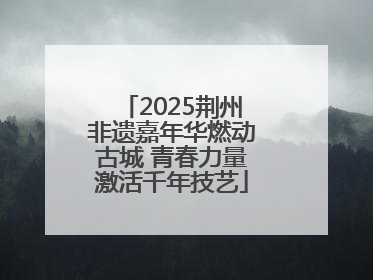 2025荆州非遗嘉年华燃动古城 青春力量激活千年技艺
