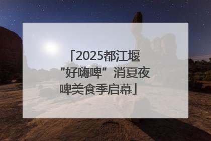 2025都江堰“好嗨啤”消夏夜啤美食季启幕
