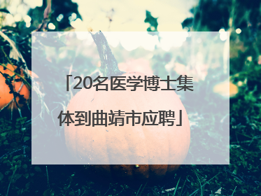 20名医学博士集体到曲靖市应聘