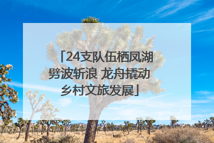 24支队伍栖凤湖劈波斩浪 龙舟撬动乡村文旅发展