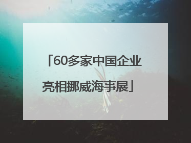 60多家中国企业亮相挪威海事展